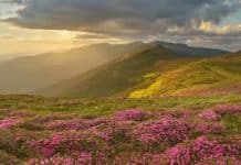 Best hikes in the world: Ukraine’s Carpatian mountains, – WiredForAdventure
