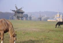 Ukrainian open-air museums virtual tour by Google