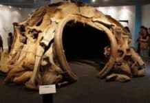 Mezhyrich Mammoth Bone Hut is the most ancient human architecture known on earth. It is 15,000 years old and was found in 1965 near Kyiv, Ukraine