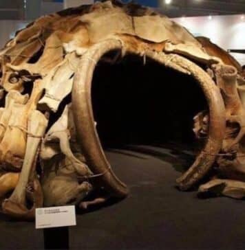 Mezhyrich Mammoth Bone Hut is the most ancient human architecture known on earth. It is 15,000 years old and was found in 1965 near Kyiv, Ukraine