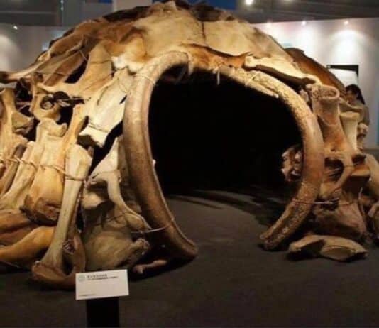 Mezhyrich Mammoth Bone Hut is the most ancient human architecture known on earth. It is 15,000 years old and was found in 1965 near Kyiv, Ukraine