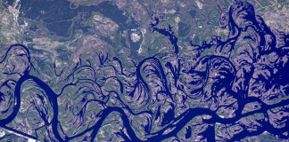 Ukraine’s Pripyat River Is Like A Work of Art From Space