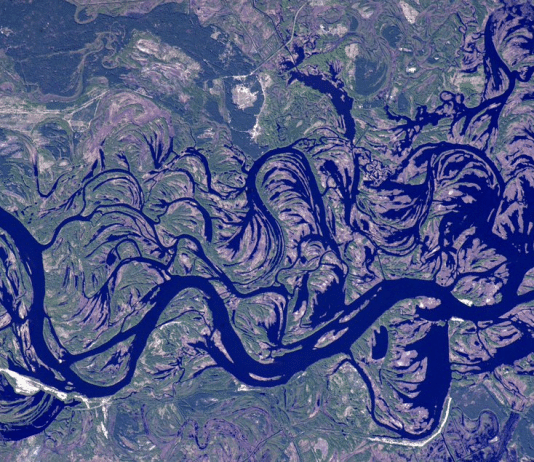 Ukraine’s Pripyat River Is Like A Work of Art From Space