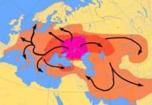 DNA test shows that the Swedes came from Ukraine