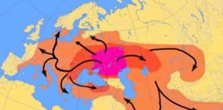 DNA test shows that the Swedes came from Ukraine