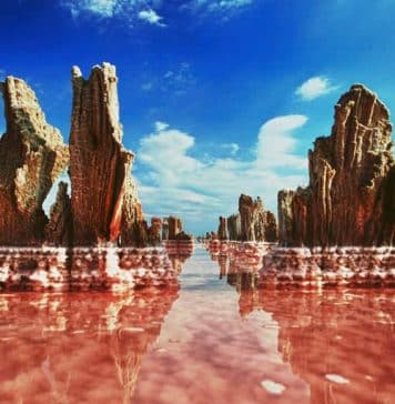 Pink lake in Ukraine attracts visitors for beauty, therapeutic healing – GlobalNews Canada