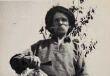 John Steinbeck on Ukrainian bee farm