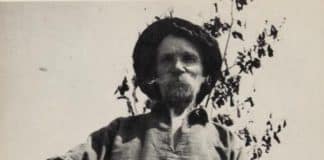 John Steinbeck on Ukrainian bee farm