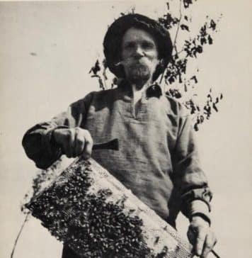 John Steinbeck on Ukrainian bee farm