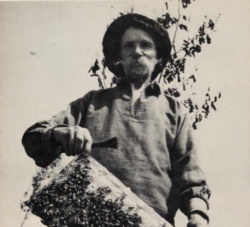 John Steinbeck on Ukrainian bee farm