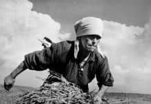 Ukrainian women at work. As seen by John Steinbeck and Robert Capa in 1947