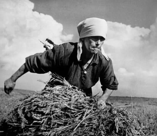 Ukrainian women at work. As seen by John Steinbeck and Robert Capa in 1947