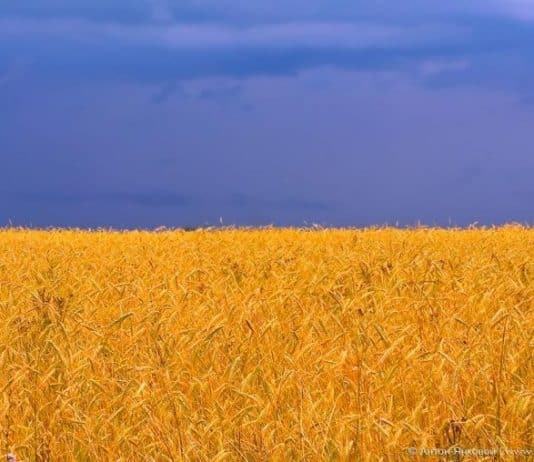 Extra-realistic flag of Ukraine