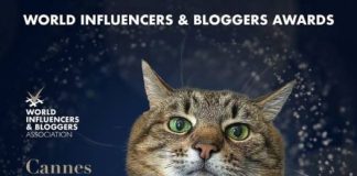 Cat Stepan nominated for World Influencers and Bloggers Award 2022