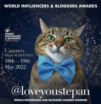 Cat Stepan nominated for World Influencers and Bloggers Award 2022