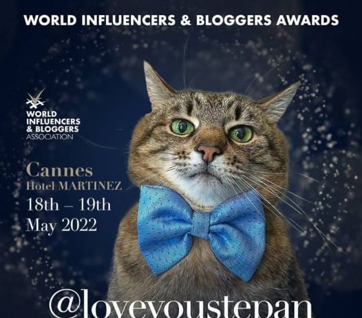Cat Stepan nominated for World Influencers and Bloggers Award 2022