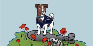 Ukrainian postage stamp to feature mine clearance dog Patron