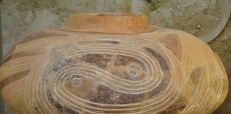 Yin-Yang symbol was created in more northern area than China? Trypillian Vase, ca 4000 BC. National Museum of History of Ukraine. Photo by the author of the article