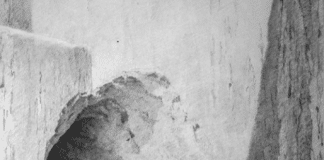 Scythian Funeral Cart from Alexandropol Kurgan