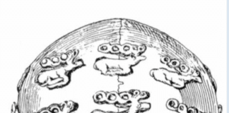 Gold Deer Plaques on Human Skull: Synjavka Scythian barrow in Ukraine