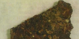 Scythian Colored Ornament Patterns on Leather from Tovsta Mogyla Kurgan