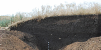 Ditches around Scythian Kurgans
