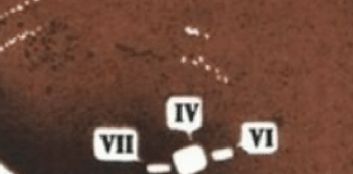 Curious Horse Burials in Tovsta Mogyla Kyrgan: ‘Yin-Yang’ pattern?