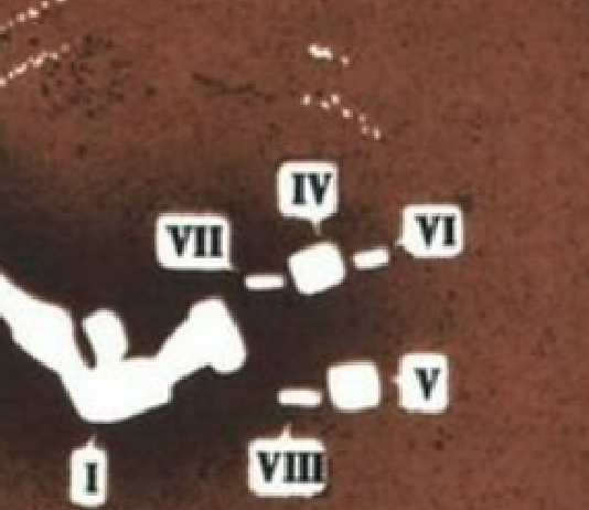 Curious Horse Burials in Tovsta Mogyla Kyrgan: ‘Yin-Yang’ pattern?