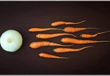 Borscht. The Beginning