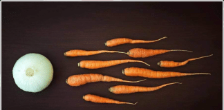 Borscht. The Beginning