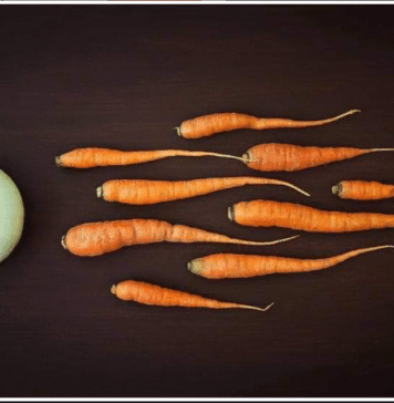 Borscht. The Beginning