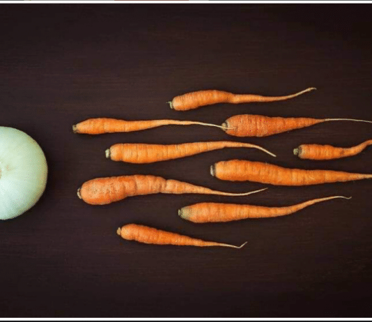 Borscht. The Beginning