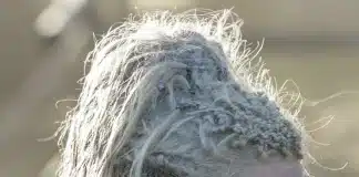 Women fought in the ranks of Sviatoslav the Brave’s army in the 10th century AD