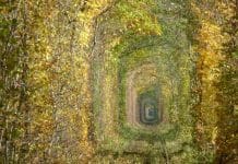 Tunnel of Love, Ukraine