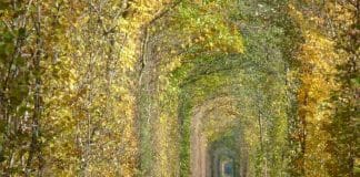 Tunnel of Love, Ukraine