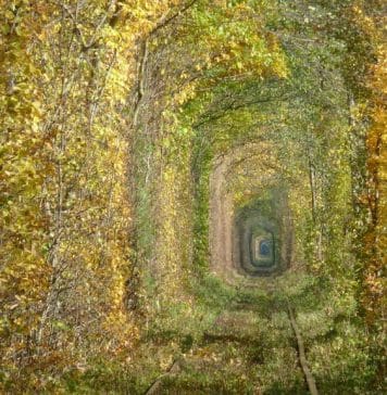 Tunnel of Love, Ukraine