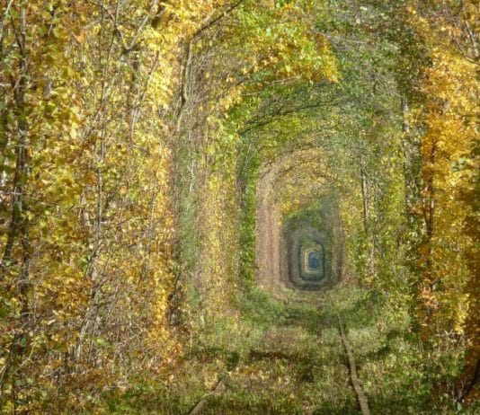Tunnel of Love, Ukraine