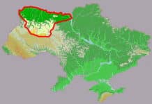 The Slavs originated in the area of the Pripyat River in Ukraine, – ‘Manhunt: Unabomber’ series Linguistic Scene