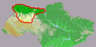 The Slavs originated in the area of the Pripyat River in Ukraine, – ‘Manhunt: Unabomber’ series Linguistic Scene