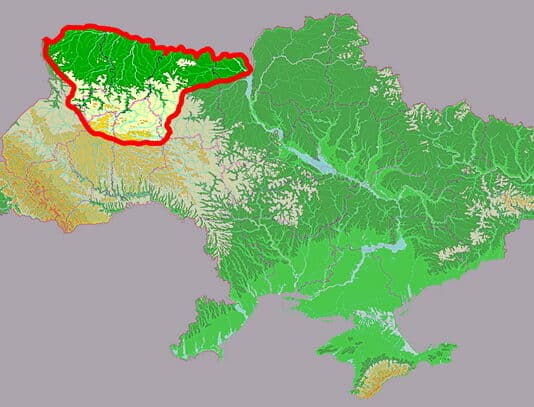 The Slavs originated in the area of the Pripyat River in Ukraine, – ‘Manhunt: Unabomber’ series Linguistic Scene
