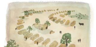 Trypillia Megasites: The first cities of humanity were not in Mesopotamia, but in Ukraine, – Swiss’ Neue Zürcher Zeitung