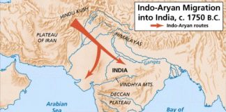 Sanskrit is a branch of Ukrainian Language, – Polish linguist Krasusky in his 1880 book