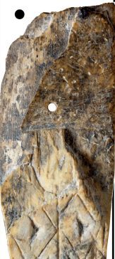 Ivory Artifact from Bilsk Scythian settlement in Ukraine; Its striking resemblance to Artifacts from Sparta and Minoan Crete