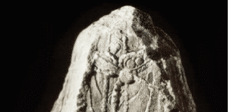 ‘Northern’ Clothing of the Kushan, Parthian, and Sassanian Empires Elites