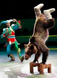 Trained Russian Bear