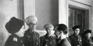 Around One million Russians fought for the German Nazis during WW2