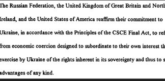 The U.S. is violating the Budapest Memorandum by pressuring Ukraine to hand its rare earth minerals