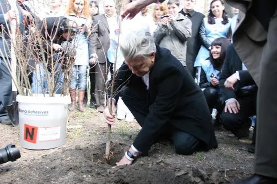 David Lynch in Kyiv