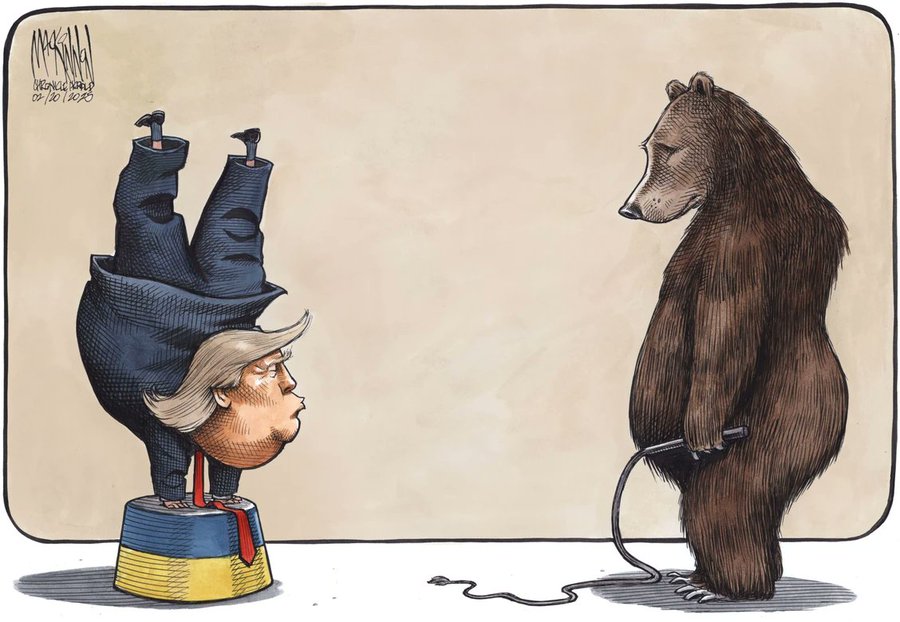 trump bear