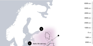 Slavs originated in Ukraine and Belarus. They replaced 80% of local gene pool in Eastern Germany, Poland, and Croatia, DNA study shows